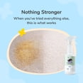 thumbnail image 2 of kin+kind Pet Urine Cleaner for Dogs & Cats, Carpet & Fabric Cleaner, Stain & Odor Remover, Pet Urine Remover, Stops Re-Marking, Floral, 32 fl oz, 2 of 10