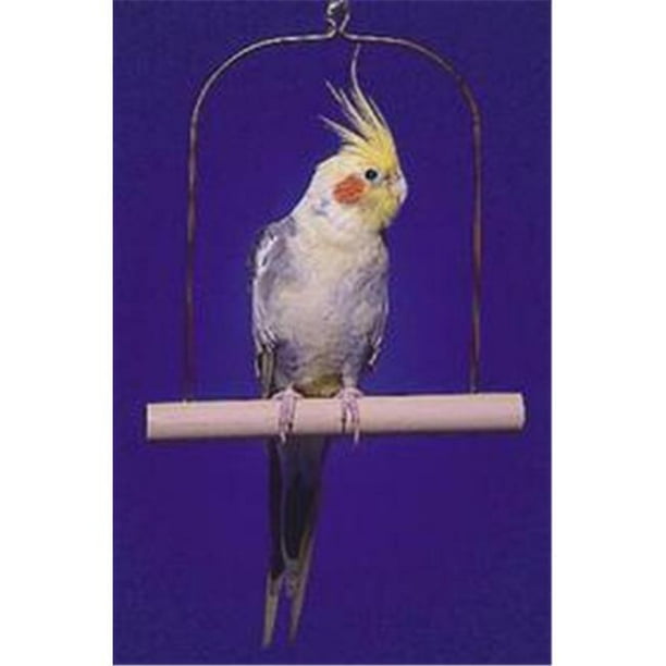 Penn Plax Wooden Cockatiel Swing Walmart.ca