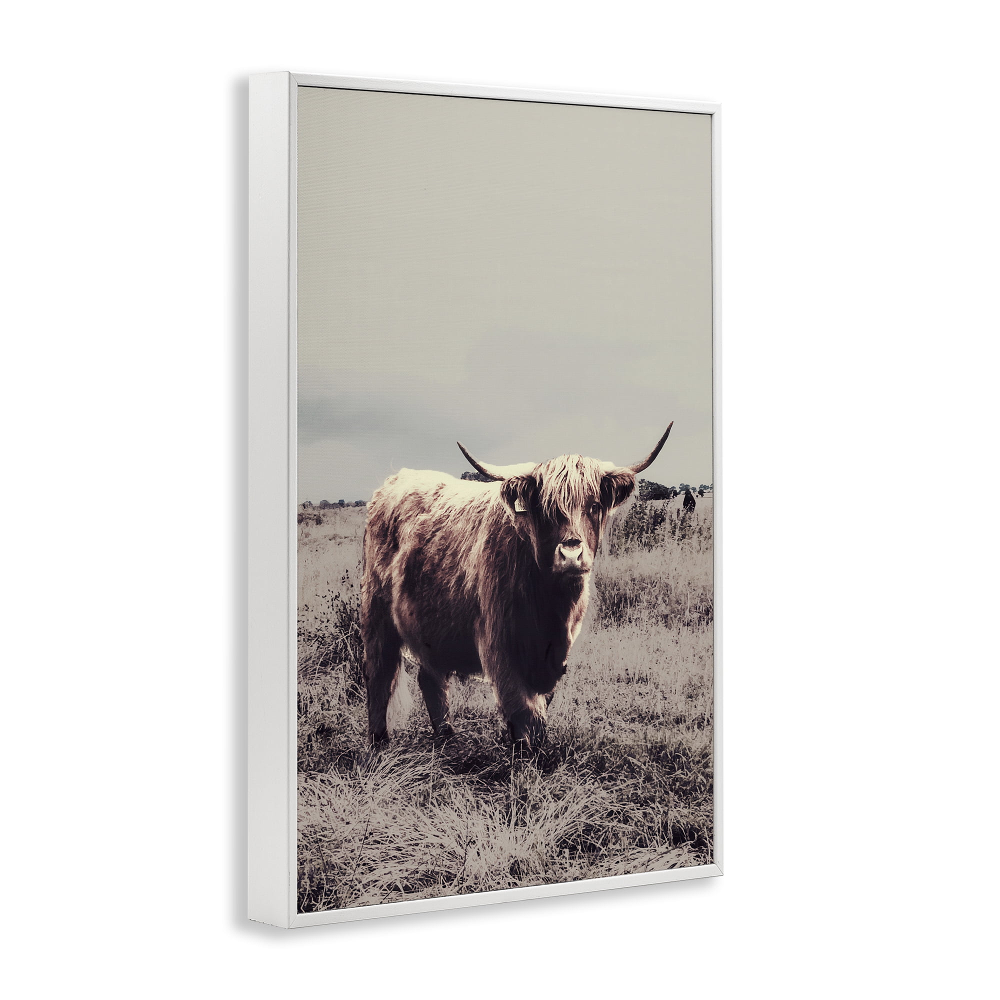 Stupell Industries Horned Cattle in Pasture White Framed Giclee Art, design by SD Graphics Studio