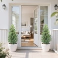 thumbnail image 4 of 35inch Artificial Olive Tree Set of 2 - Lifelike Indoor/Outdoor Décor, 4 of 5