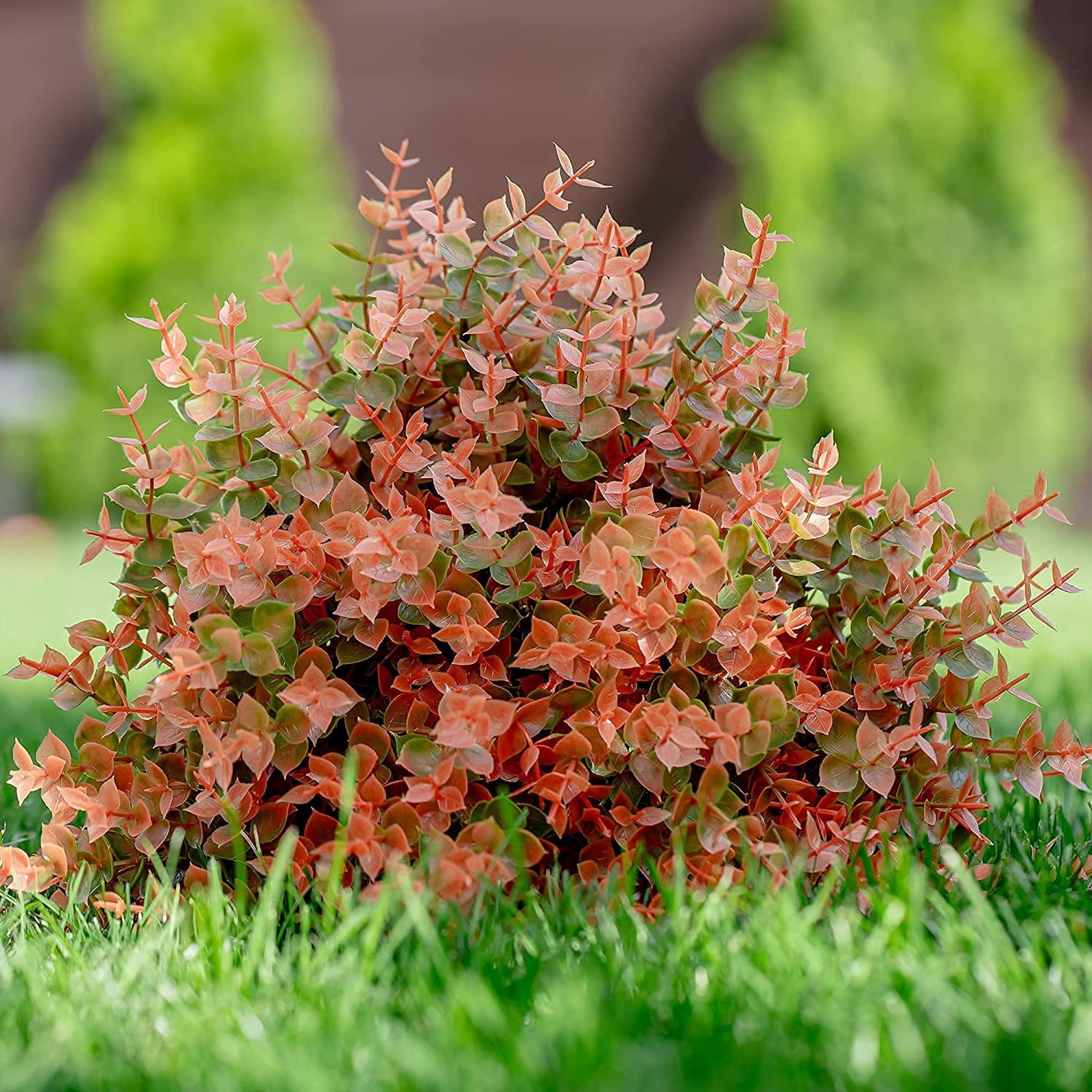 Viworld Artificial Plants Outdoor Boxwood Shrubs - 12 PCS Bundles Fake Plants UV Resistant No Fade Faux Plastic Greenery Fall Flowers Garden Porch Patio Decoration Thanksgiving (Green Orange)