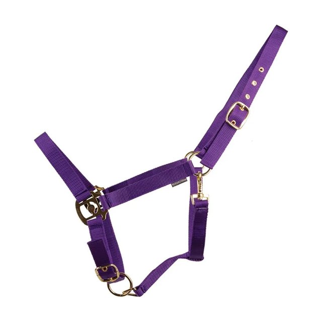 HYCONIC Collier de Cheval