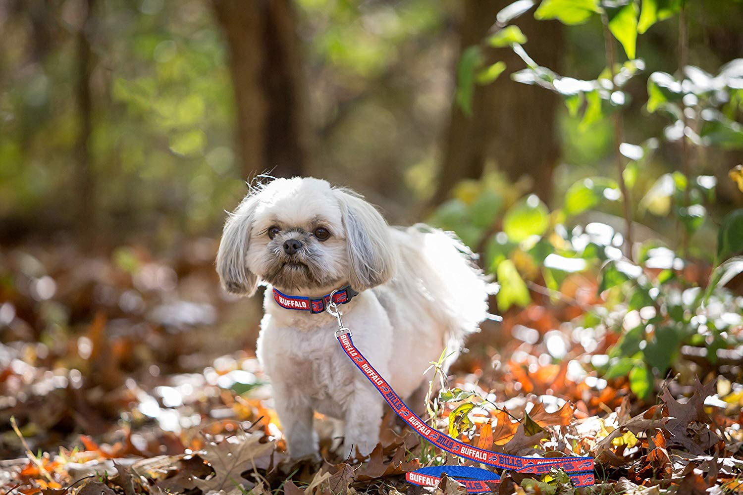 Pets First NFL Buffalo Bills Heavy Duty and Durable Dogs and Cats Sports Leash - Small