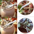 thumbnail image 5 of JFBUJC 14 Pcs Succulent Plant Tools Set Mini Garden Planting Watering Tool Kit For Plant Care, 5 of 5
