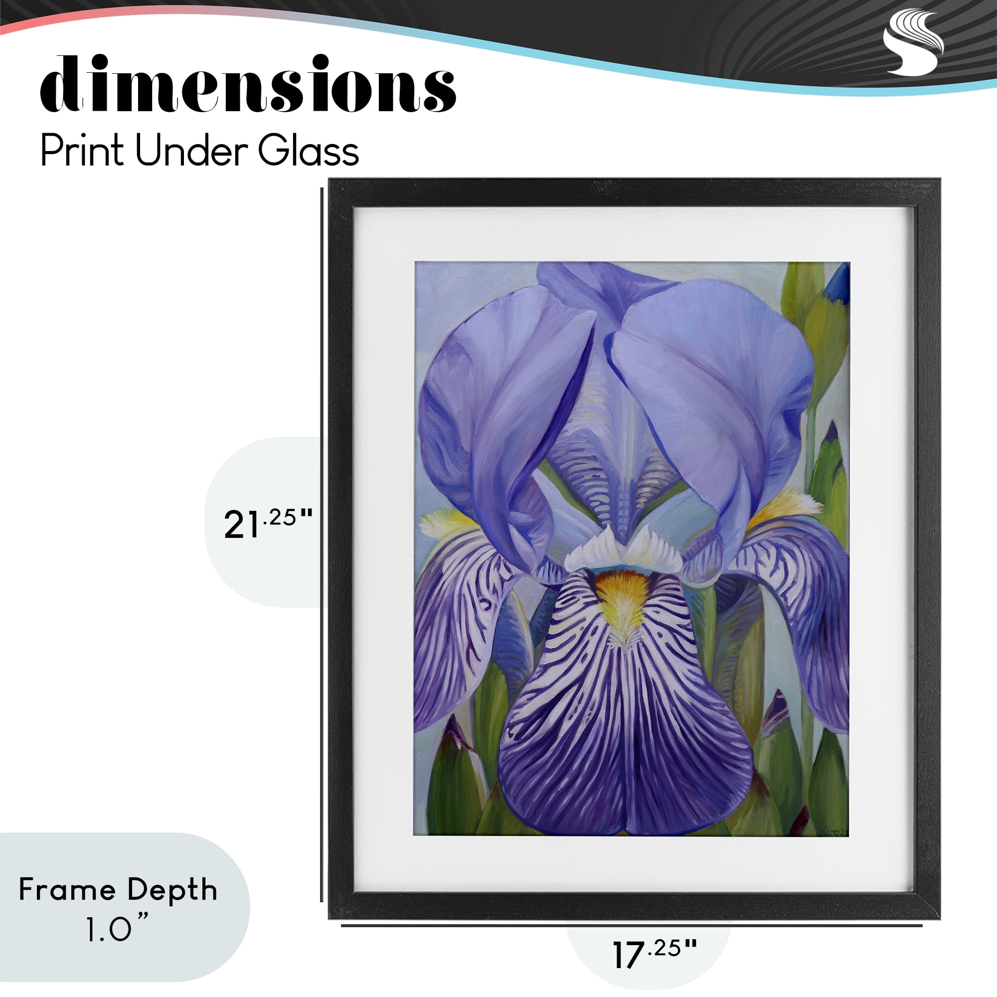 Stupell Industries Blooming Purple Iris Petals Black Framed Print Under Glass, design by Violeta Vollmer