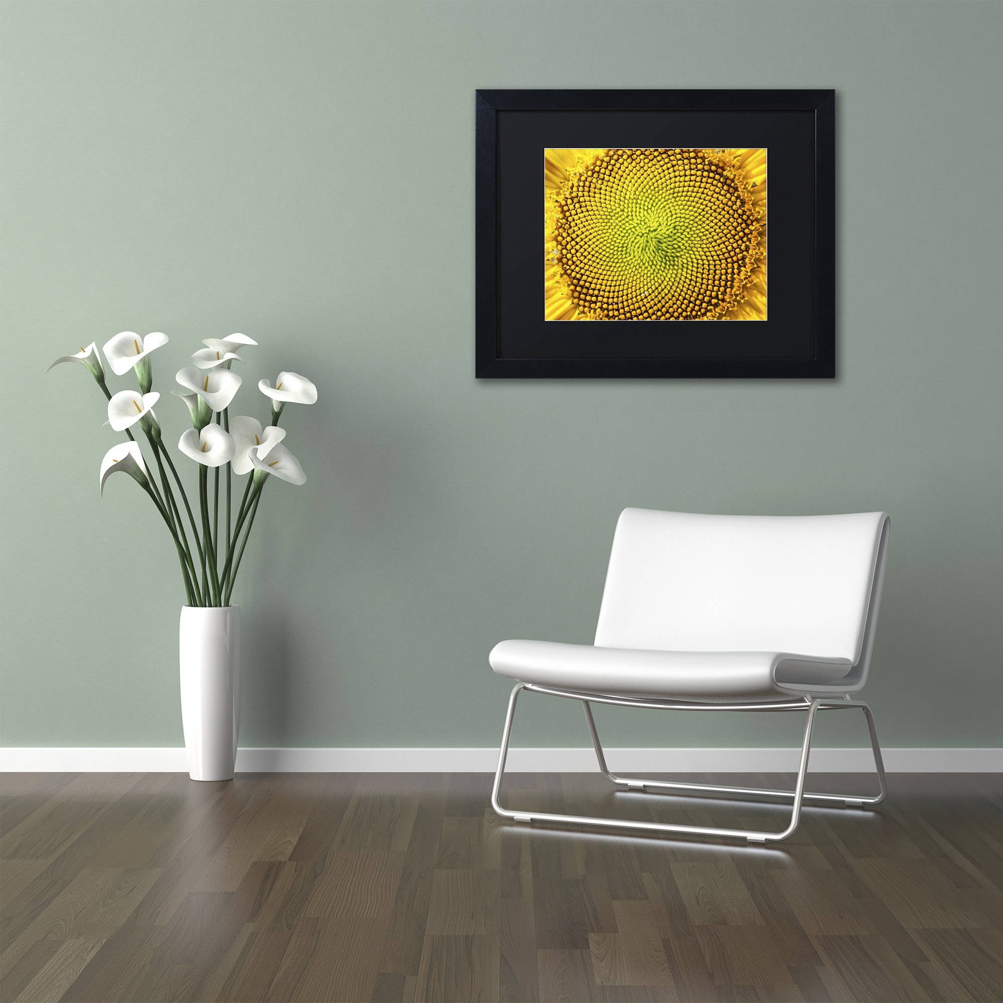 Trademark Fine Art "Cosmic Patterns in Nature" Canvas Art by Kurt Shaffer, Black Matte, Black Frame
