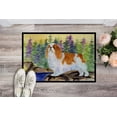 thumbnail image 2 of Carolines Treasures SS8204MAT Tapis Intérieur Extérieur 18 x 27 Po. English Toy Spaniel, 2 of 4