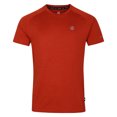thumbnail image 1 of Dare 2B T-Shirt Homme Persist Marl, 1 of 4