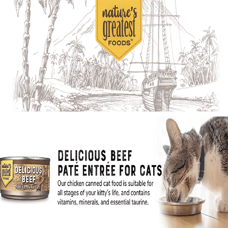 Best wet cat foods 2019 discount