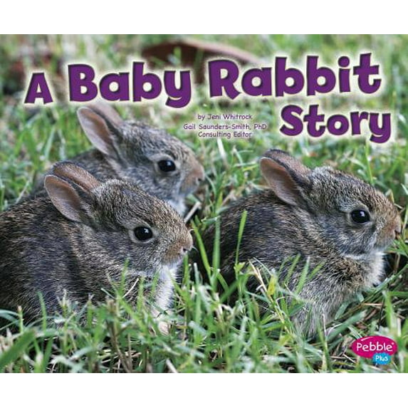 Pre-Owned A Baby Rabbit Story