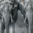 thumbnail image 5 of Autua Elephants Smoke Wildlife Shower Curtain Set with Hooks 100% Polyester 36"x72, 5 of 7