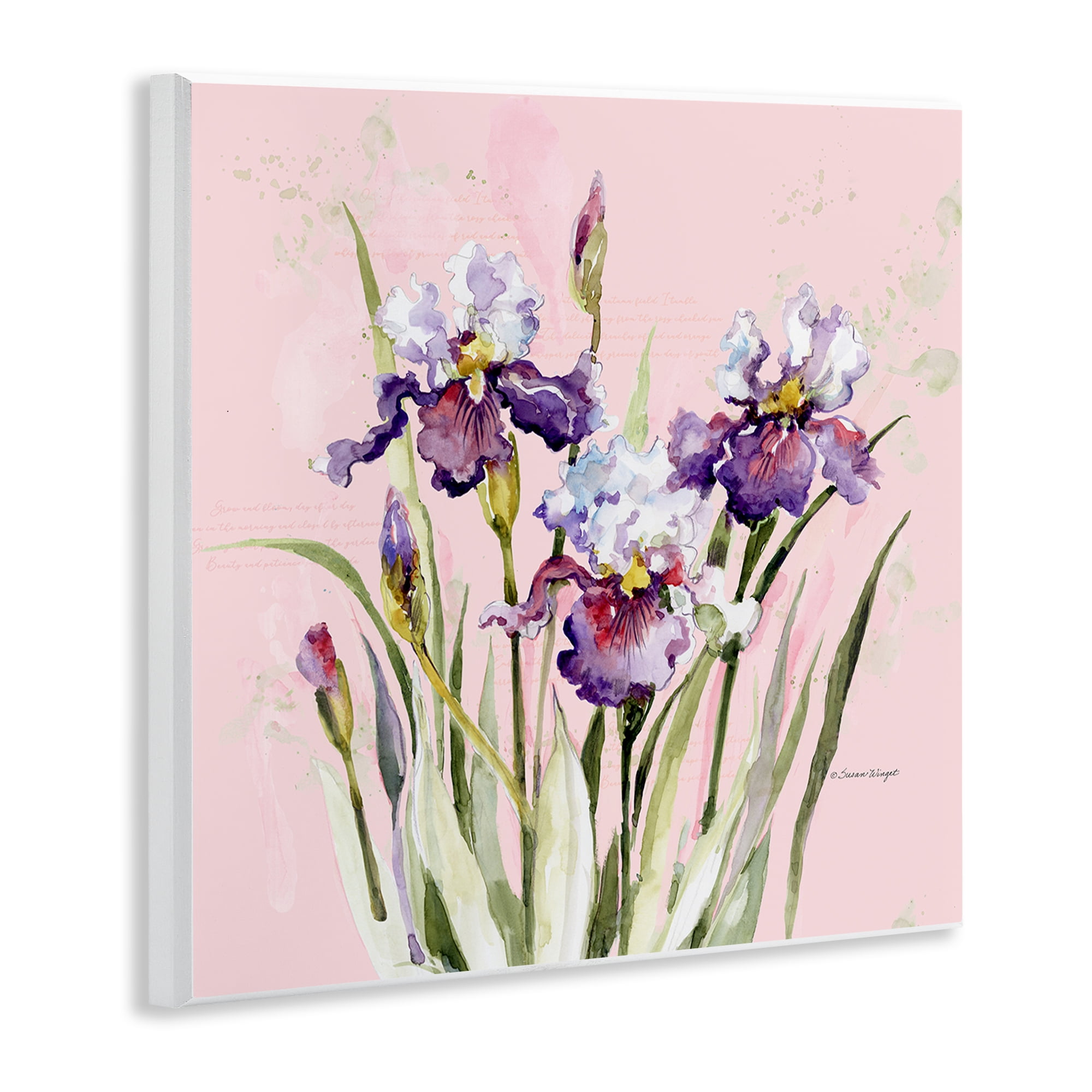 Stupell Industries Purple Irises on Pink Wall Plaque Art, design by Susan Winget