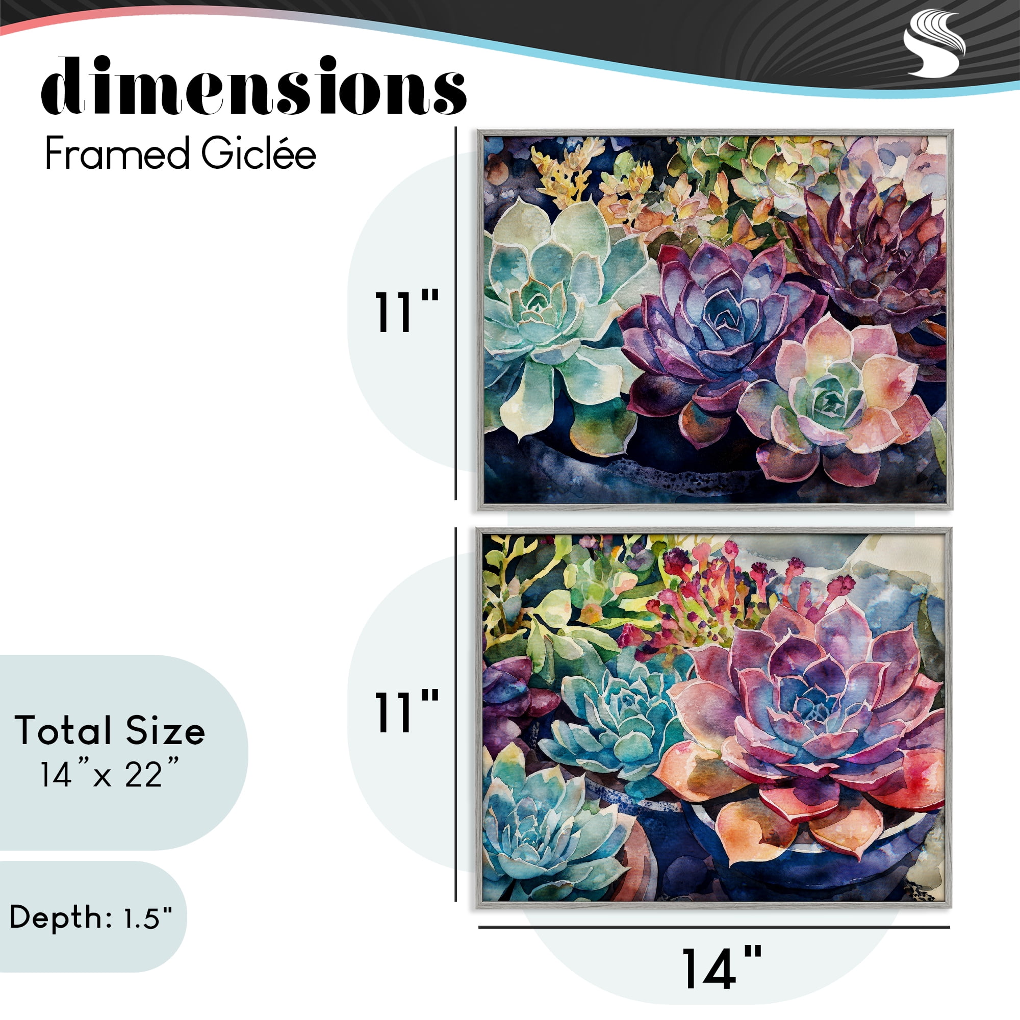 Stupell Industries Sunny Watercolor Succulents 2 Piece Gray Framed Giclee Art Set, design by Svetlana Aleynikova