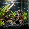 thumbnail image 6 of Nautical Tabletop Statue, Resin Skeleton Pirate with Cave for Aquarium Landscaping and Home Decor, 6 of 6