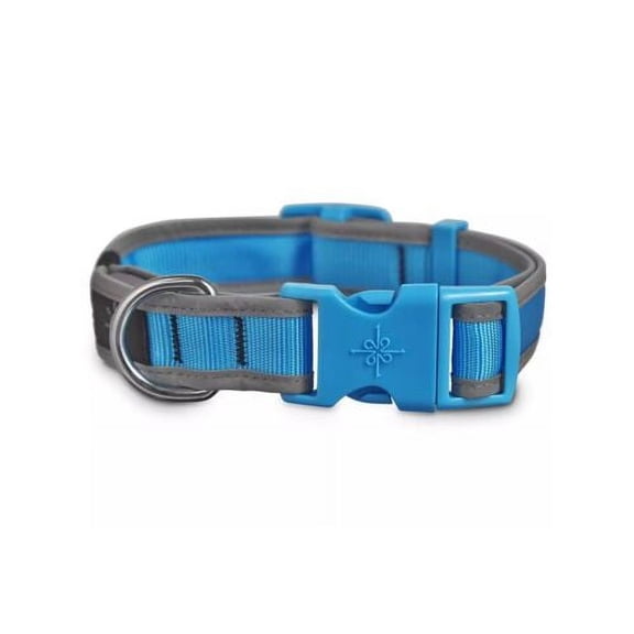 Good2Go LED Light-Up Collar for Dogs in Blue, Small
