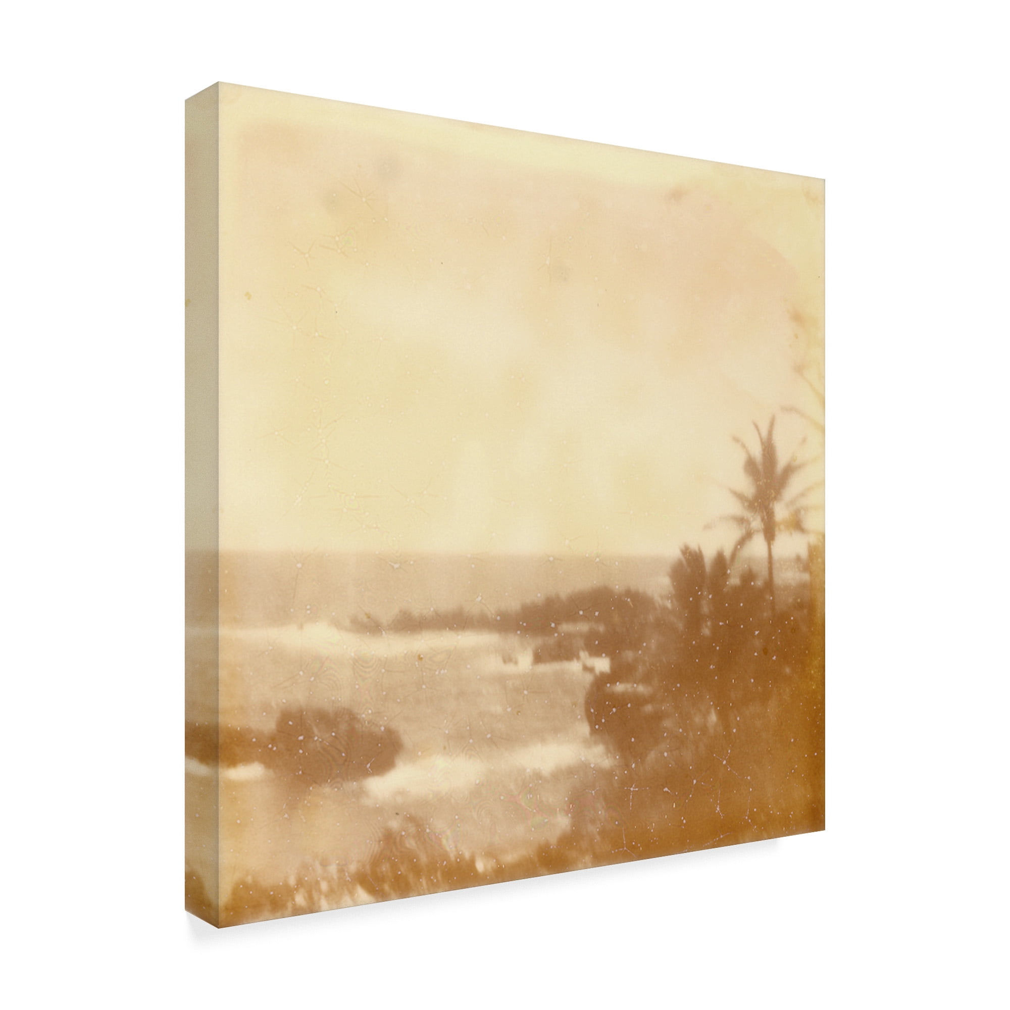 Trademark Fine Art 'Halia Aloha VIII' Canvas Art by Jason Johnson