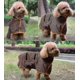 thumbnail image 5 of Dog Bathrobe Towel - Microfibre Fast Drying Super Absorbent Pet Dog Cat Bath Robe Towel,soft, 5 of 5