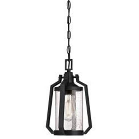 

WestinghouseLighting 6347600 1 Light Ridley Outdoor Pendant