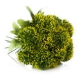 thumbnail image 2 of Enova Home Artificial Mixed Greenery Arrangement in Clear Glass Vase With Faux Water, 2 of 2