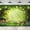 Enchanted, variant on Fairy Tale Backdrop Green Enchanted Woodland Garden Tree Light Yellow Brick Road Princess Magic Photography Backgrounds Photo Shoot Decor Props Decoration