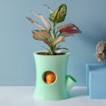 thumbnail image 6 of SPRING PARK Succulent Pot Cute Squirrel Water-saving Planter Bonsai Box Plant Bed Office Home Garden Pot Decoration, 6 of 7