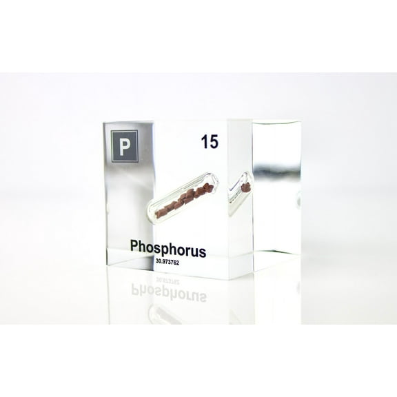 Engineered Labs Educational Phosphorus Element Cube Display Clear Acrylic USA