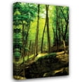 thumbnail image 1 of Alan Hausenflock 31x44 Gallery Wrapped Canvas Wall Art Titled - Deep Woods I, 1 of 4