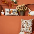 thumbnail image 3 of Fall Pillow Covers 12x20 inch Fall Decoration Various styles of pumpkins decor Autumn Pillow Cover Thanksgiving Decoration for Home Couch 071G, 3 of 6