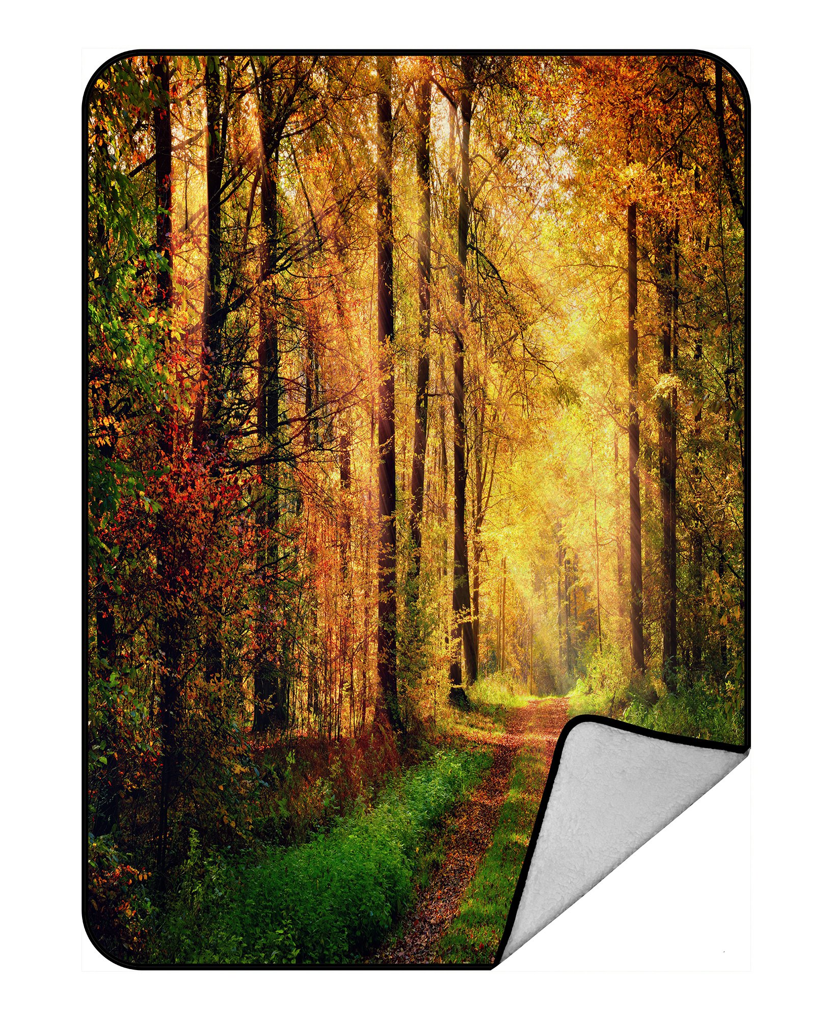 PHFZK Autumn Scene Blanket, Autumn Trees in Sun Light Landscape Fleece