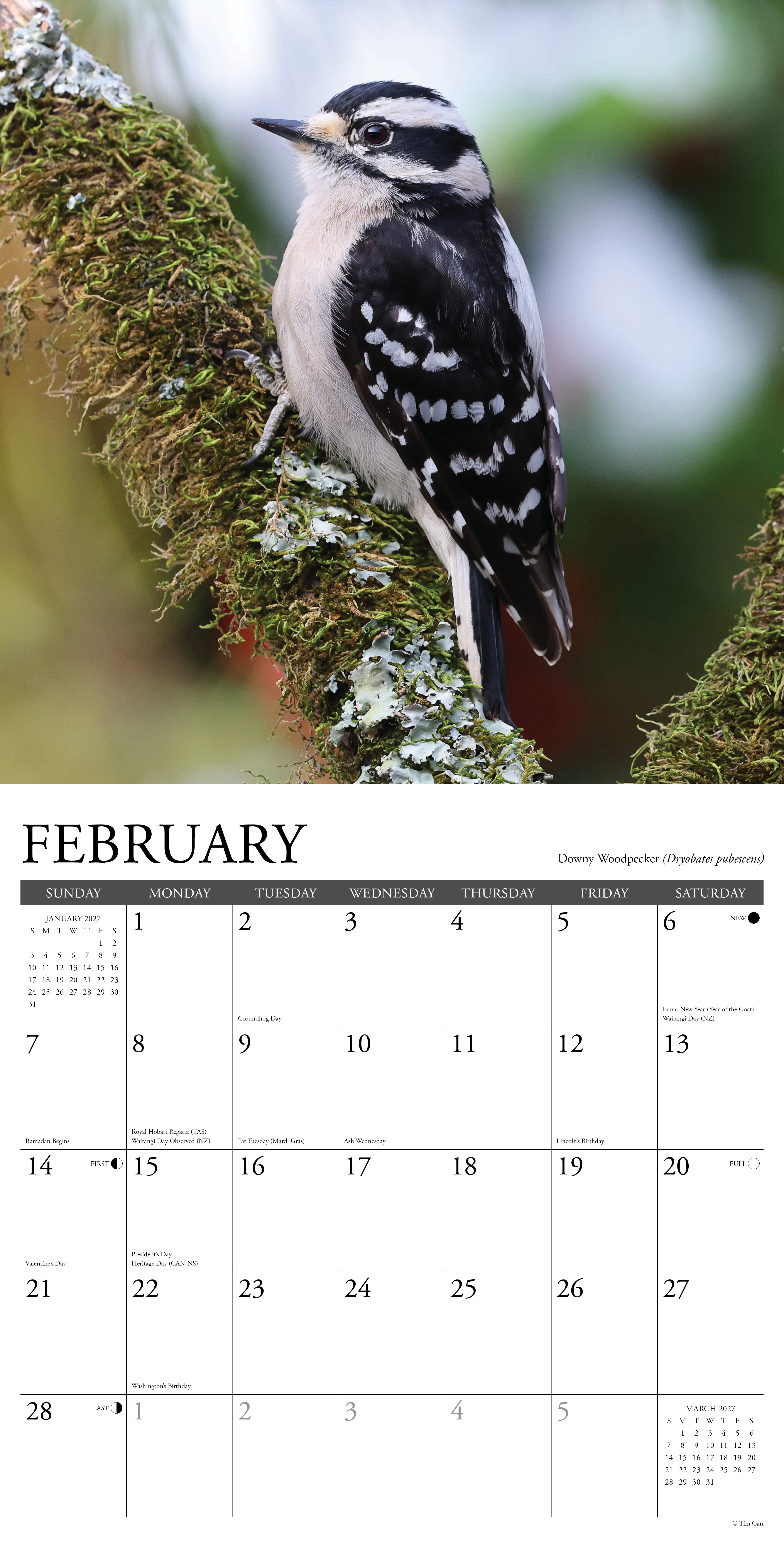 Willow Creek Press, Garden Birds of North America 2027 Wall Calendar