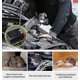 thumbnail image 2 of Paquete de 2 repelente de animales debajo del capó, repelente de ratas para coche, repelente de roedores, disuasivo ultrasónico de ratones para vehículos de 12v 24v, deshazte de los ratones en el coc, 2 of 5