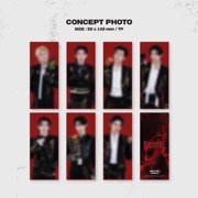 ENHYPEN - [ENHYPEN WORLD COUPON CARD COLLECTION] VAMPIRE BASIC Version