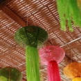 thumbnail image 1 of FUEENIRVA 30Ud Para Plata Para Colgar Carteles Luces Y Plantas En Casa, 1 of 8