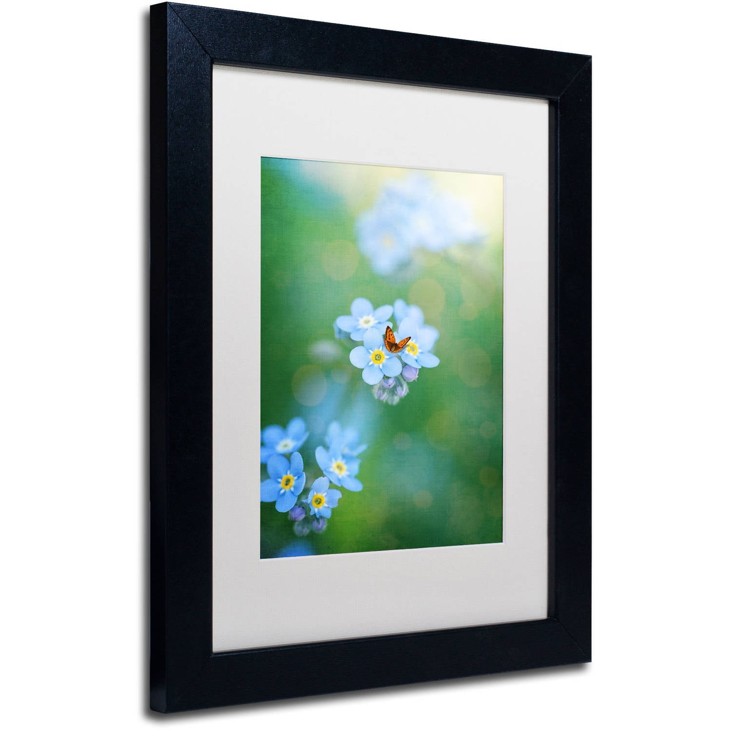 Trademark Fine Art Landscapes Matted Framed Art ' Forget-Me-Not ' by Philippe Sainte-Laudy