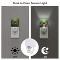 thumbnail image 3 of Salouo Tree Frog for Night Lights Plug into Wall 1 Pack, 0.5W Plug in Night Light with Dusk-to-Dawn Light Sensor LED Nightlight for Bathroom, Adult, Hallway-UK, 3 of 7