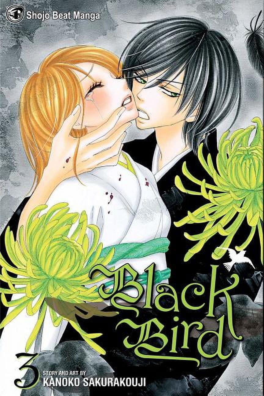Black Bird Black Bird, Vol. 1, Book 1, (Paperback) - Walmart.com
