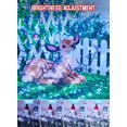 thumbnail image 4 of Luces navideñas Brightown Cluster 2000 LED de 30 m, color blanco frío, 4 of 4