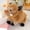 A112 kid toys under 5$, variant on Usloyux Kids Toys Under $5 Plush Toys,Animal Plush Toys for Kids,Baby Appease Toy,Cute Animal Plush Stuffed Toy for Kids Christmas,Birthday,Holiday Party Gifts