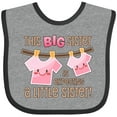 thumbnail image 3 of Inktastic This Big Sister is Expecting a Little Sister Girls Baby Bib, 3 of 4