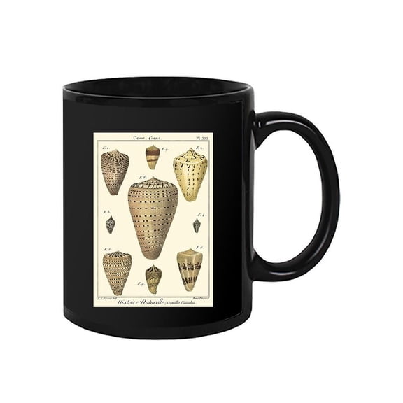 Cone Shells. Mug - Denis Diderot Designs,