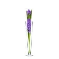 thumbnail image 5 of WGV Clear Wide Pilsner Glass Trumpet Vase - 5" Wide x 24" Height, Good quality, Heavy Weighted Base - 1 Pc, 5 of 13