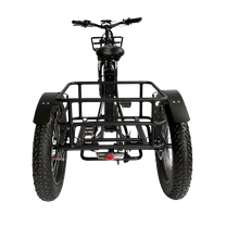 Electric Tricycle for Adults Explore in Style Fat Tire Three Wheel Bike