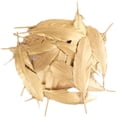 thumbnail image 1 of 80 Pieces Gold Feathers for Craft Wedding Home Party Decorations, 6-8 Inches Gold Craft Feathers, 1 of 7