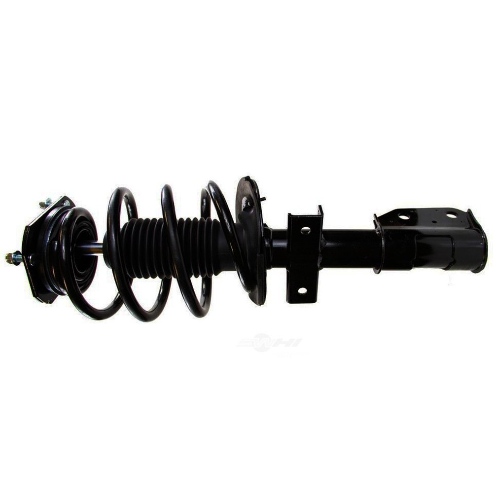 Suspension Strut and Coil Spring Assembly