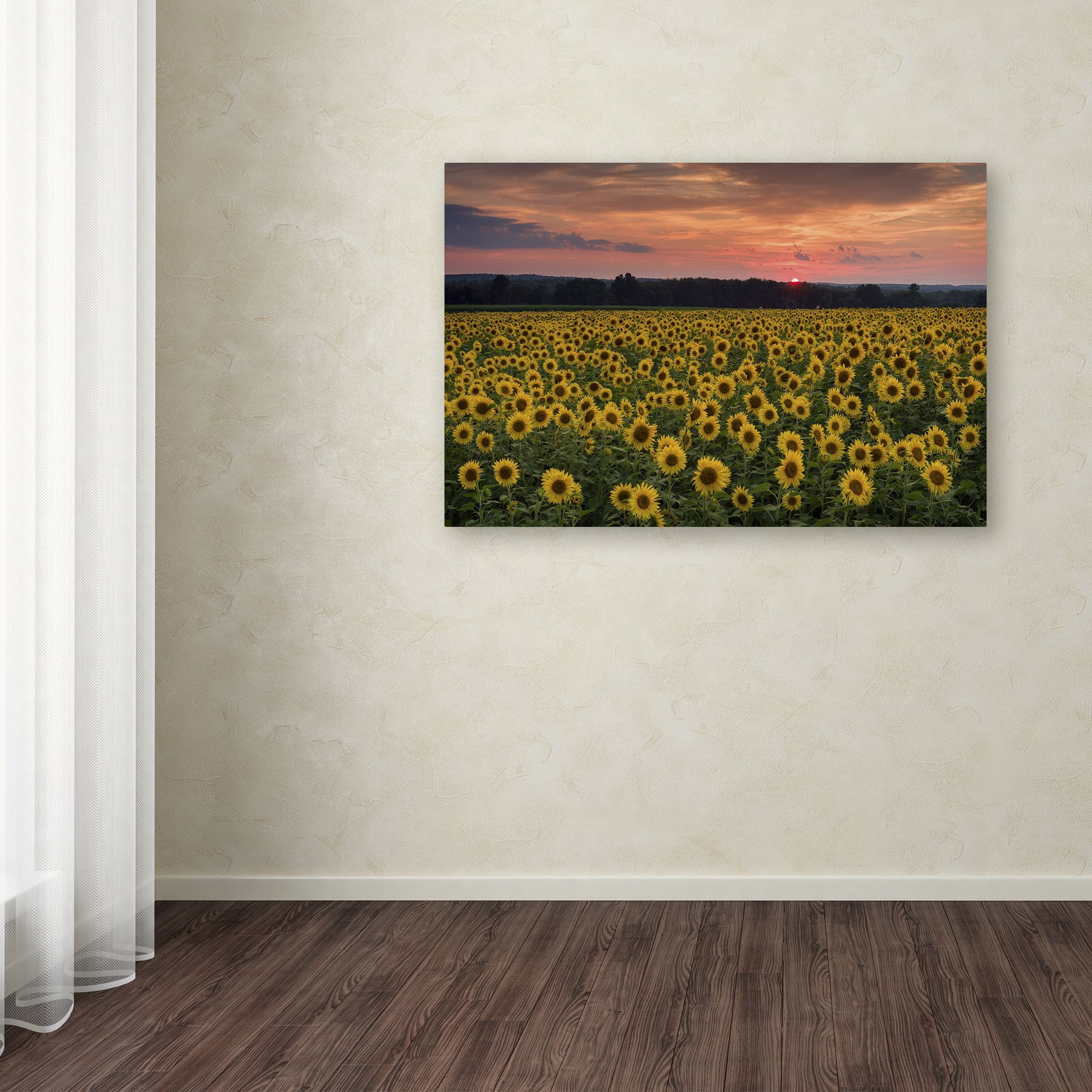 Trademark Fine Art "Sunflower Taps" Canvas Art by Michael Blanchette Photography