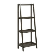 Dunnsville 4-Tier Ladder Shelf