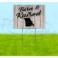 thumbnail image 1 of Born & Raised Missouri (18" x 24") Yard Sign, Includes Metal Step Stake, 1 of 6