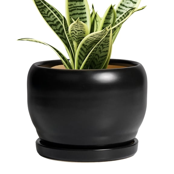 Ordivic 6 Inch Black Ceramic Planter with Drainage Hole and Saucer β Round Flower Pot for Indoor Outdoor, Modern Succulent Pot, House Decor, Gift for Plant Lovers