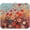 Autumn Poppy Flowers, variant on Sage Green Dandelion Floral Spring Dish Drying Mat for Kitchen Counter Microfiber Absorbent Dish Drainer Rack Mat Small Kitchen Drying Mat Heat Resistant Drying Pad for Counter 18x24