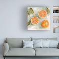 thumbnail image 3 of Emma Scarvey 'Fresh Citrus II' Canvas Art, 3 of 3